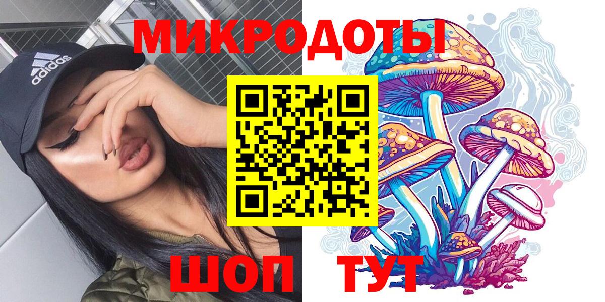 Урюпинск  Галлюциногенные грибы Psilocybine cubensis  Вход с VPN 